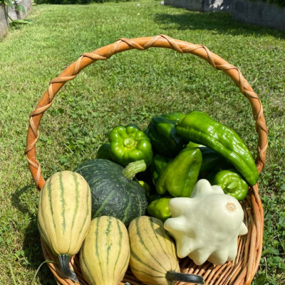 Kula Kamala Foundation