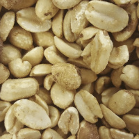 What’s right: Early peanut introduction reduces childhood allergy rates