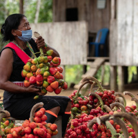 Whats right: indigenous representation in nature conservation