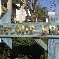 Whats right: Irelands increasing popularity of second-hand wear