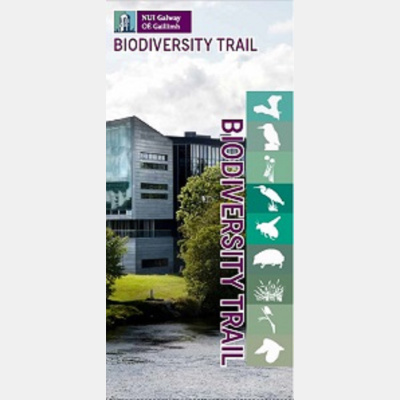 Nui Galway Biodiversity Trail