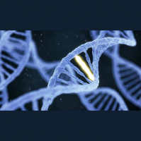 More Human Than Human