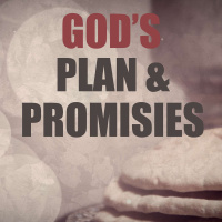 Gods Plan and Promises