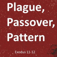 Plague Passover Pattern