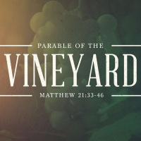 The Parable of the Vineyard