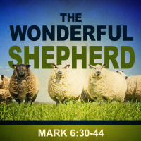 The Wonderful Shepherd
