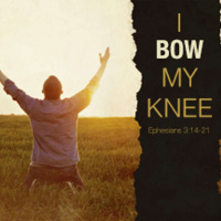 I Bow My Knee