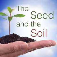 The Seed and the Soil