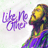 Like No Other