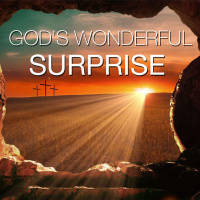 Gods Wonderful Surprise