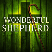 Wonderful Shepherd