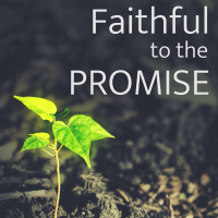 Faithful to the Promise
