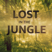 Lost in the Jungle