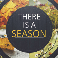 There is a Season