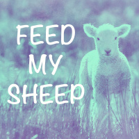 Feed My Sheep