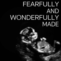 Fearfully and Wonderfully Made