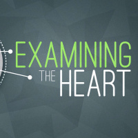 Examining the Heart