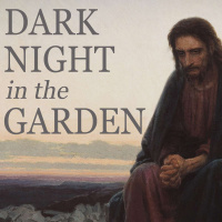 Dark Night in the Garden