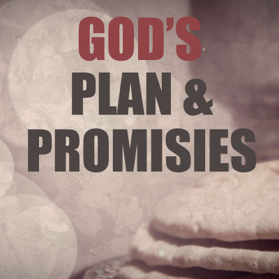 Douglas Bradleys Podcast