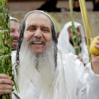 United Souls Course - PulveRedu - New Series PROACTIVE!