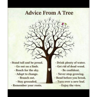 Humans are Like A Tree - Special TubiShevat Seder by our holy brother Shachar in Zayit, Efrat 5785!