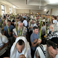 Truth will Bring Abundance - Likutei Moharan 47 @ Shirat David, Efrat!