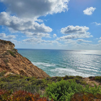 Kamala, They, Divisiveness, vs Clarity, JOC amp UIP - Real Kindness Podcast by Yosef Aharon amp Eli Goldsmith!