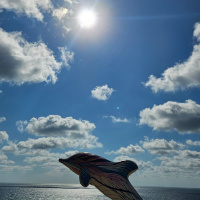 Awakening the Nekudah the 