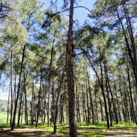 Learning Tanya Perek 10-11 - Tzaddikim amp Rashaim - Souls amp Conscience - 20th Adar!