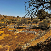 The Real Kindness Podcast - The Process of Change - Yosef Aharon amp Eli Goldsmith - JOC x UIP!