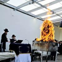 The Love of Daat amp Light Of the Tzaddikim Hidden In the Heart - Likutei Moharan 33 7!