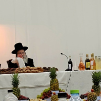 TuBishevat Drive from Yerushalyim to Efrat - Blessed Hearts 