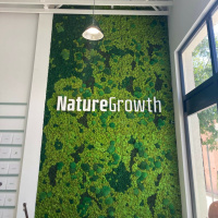 EmunaIP Focused Relationships from Shema Yisrael Achad to Vayikra to Purim!