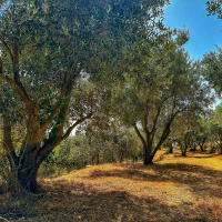 EmunaIP.com Weekly Learning - Children of The King - Unconditional Love in Prayer amp War!