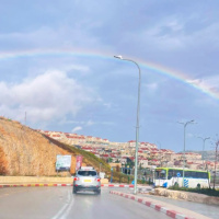 4 Parshiot A Blessed Connected Chodesh Adar - Learning Weekly in the Office!