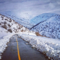 All Lives Matter Unity Flow!