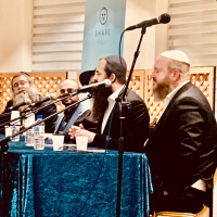 SHARE LIVE R Leibish, R Shlomo Katz, R Moshe Tvi Weinberg, R Efi Palvanov, R Dovber Pinson @ SD UIP!