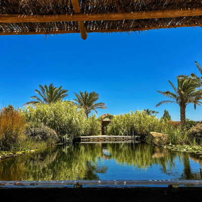 Eli Goldsmith Inspired Flow!