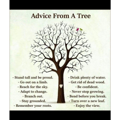 Eli Goldsmith Inspired Flow!