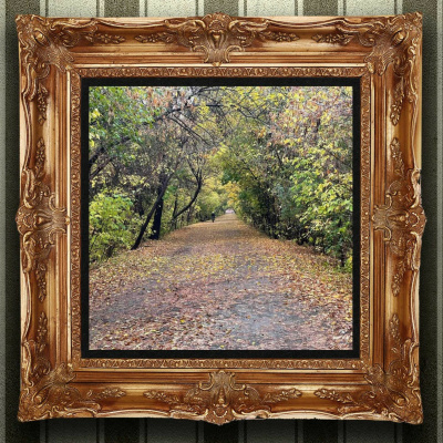 Eli Goldsmith Inspired Flow!