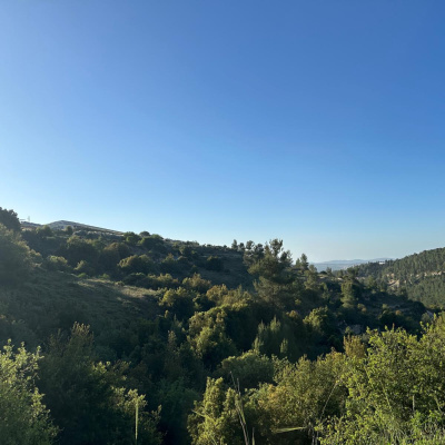 Eli Goldsmith Inspired Flow!