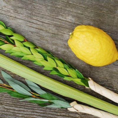 Eli Goldsmith Inspired Flow!