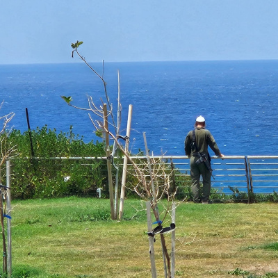 Eli Goldsmith Inspired Flow!