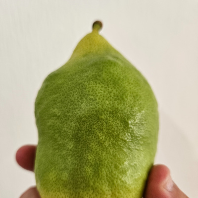 Eli Goldsmith Inspired Flow!