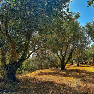 Eli Goldsmith Inspired Flow!