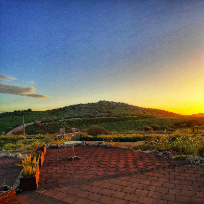 Eli Goldsmith Inspired Flow!