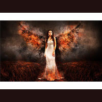 Why is it Important to Embrace ALL of You?