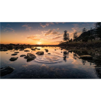 Sunday Devotional – The Power of Forgiveness