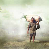 3.3.3A 故事《关于外公》