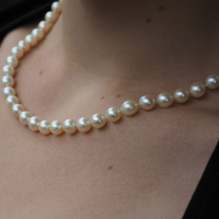 2.1.20B故事解读《珍珠项链》